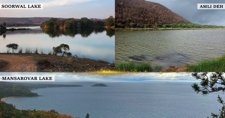 3 Bird Watching Areas in Ranthambore National Park You Shouldn’t Miss