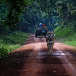 A Safe Tour to Ranthambore National Park during Covid - 19 Eras