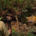 A Tour to Ranthambore National Park for Nature and Wildlife Photography
