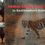 Actor Akshay Kumar His Daughter’s Trip to Ranthambore National Park