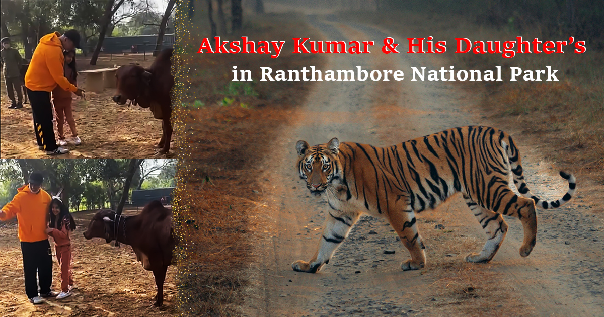 Actor Akshay Kumar His Daughter’s Trip to Ranthambore National Park