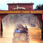 An Increase In The Entry Rates May Embarrass The Wildlife Lovers Of Ranthambore