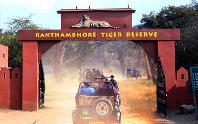 An Increase In The Entry Rates May Embarrass The Wildlife Lovers Of Ranthambore