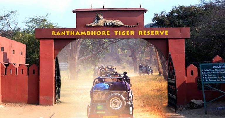 An Increase In The Entry Rates May Embarrass The Wildlife Lovers Of Ranthambore