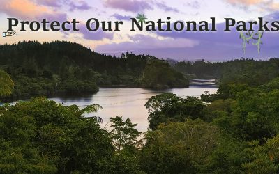 Tips to Protect National Parks
