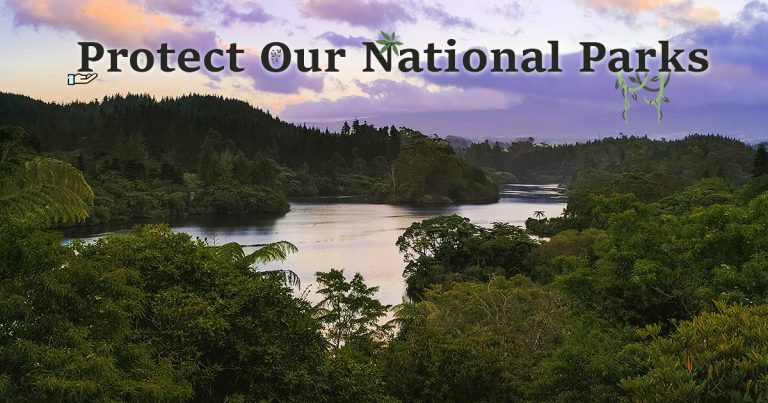 Tips to Protect National Parks