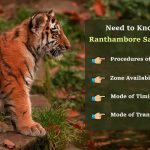 Everything You Need to Know about Ranthambore Safari Booking