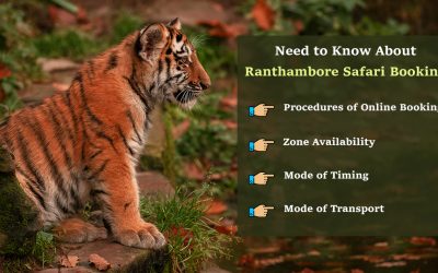 Everything You Need to Know about Ranthambore Safari Booking