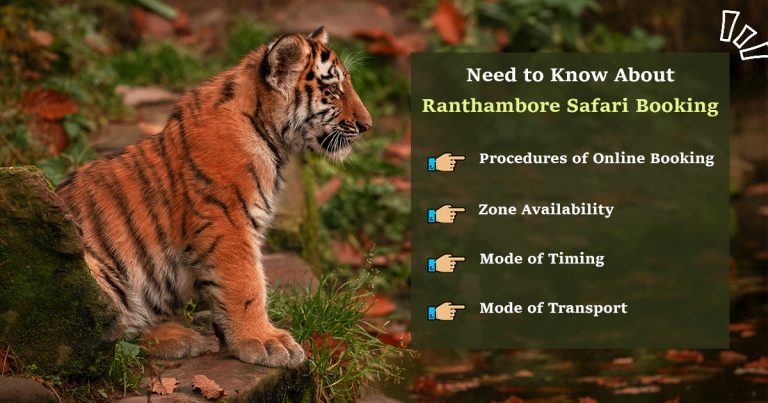 Everything You Need to Know about Ranthambore Safari Booking