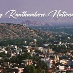 Exploring the Attractions Around Ranthambore National Park