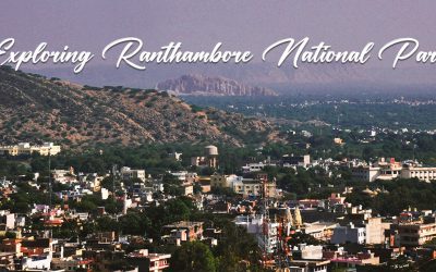Exploring the Attractions Around Ranthambore National Park