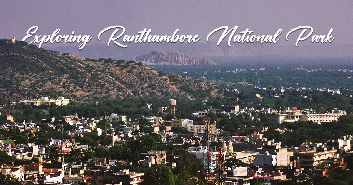 Exploring the Attractions Around Ranthambore National Park