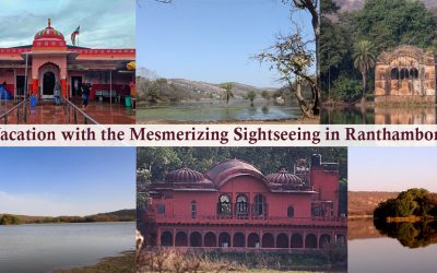 Fathom Your Vacation with the Mesmerizing Sightseeing in Ranthambore (Inner Image)
