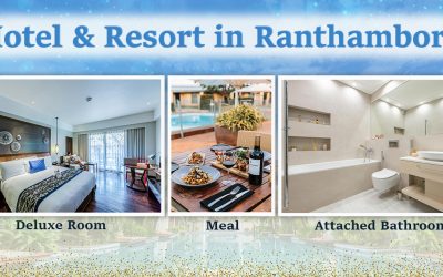 Hotels In Ranthambore