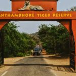 Interesting Things to Know About Ranthambore National Park