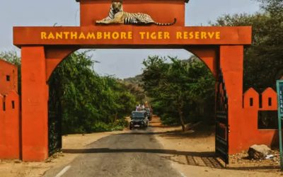 Interesting Things to Know About Ranthambore National Park