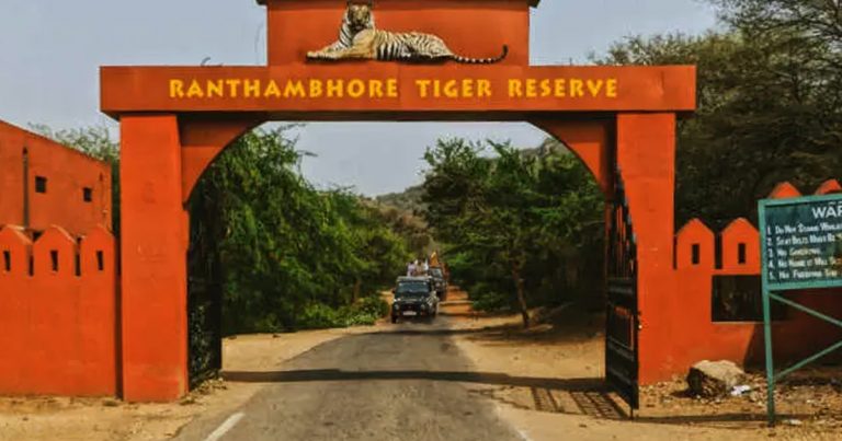 Interesting Things to Know About Ranthambore National Park