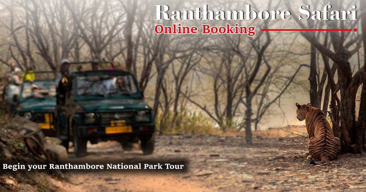 Is It Safe To Book Ranthambore National Park Tickets Online