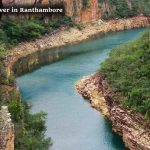 Chambal Palighat River in Ranthambore