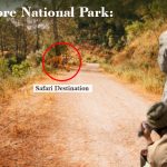 Ranthambore National Park Safari Destination