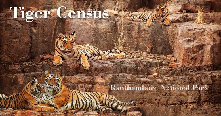 Ranthambore National Park