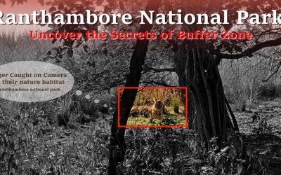 Ranthambore Buffer Zone