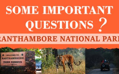 SOME IMPORTANT QUESTIONS OF RANTHAMBORE NATIONAL PARK