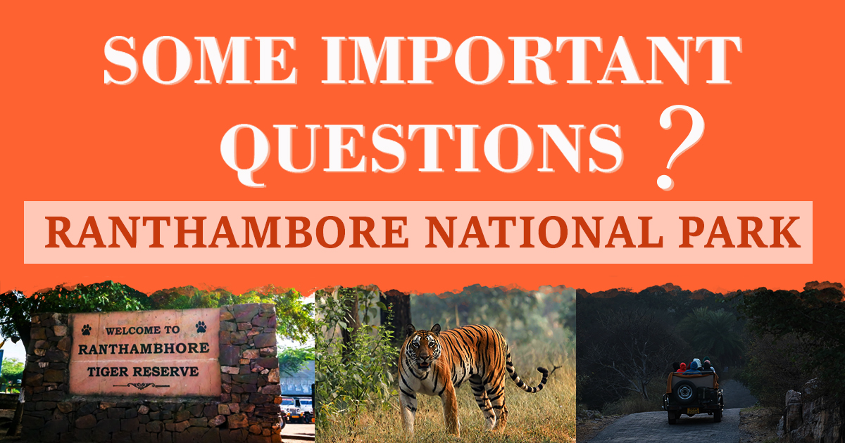 SOME IMPORTANT QUESTIONS OF RANTHAMBORE NATIONAL PARK