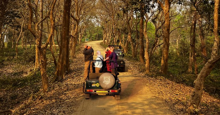 Travel Guide Of Ranthambore National Park