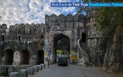 Best forts to visit near ranthambore national park