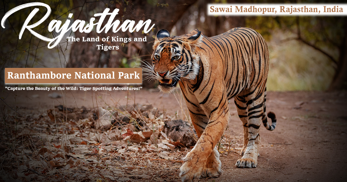 The land of kings and tigers- Rajasthan