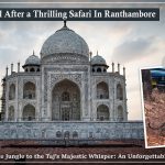 Visit to taj mahal after thrilling safari in ranthambore