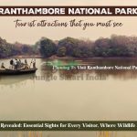 Tourist Attractions in Ranthambore National Park That You Must See