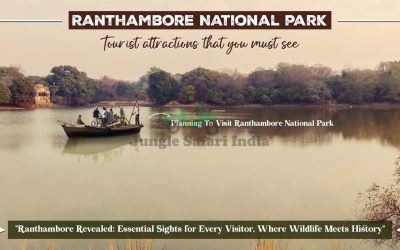 Tourist Attractions in Ranthambore National Park That You Must See