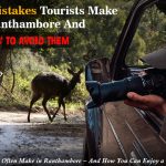 mistakes tourists make in ranthambore