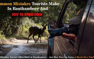 mistakes tourists make in ranthambore