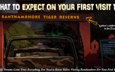 visit to Ranthambore