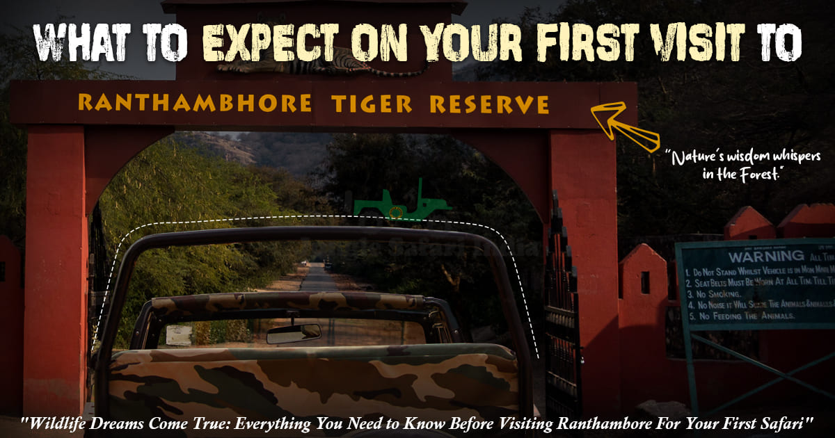 visit to Ranthambore