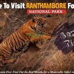 best time to visit ranthambore