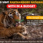 Ranthambore on Budget