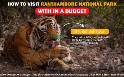 Ranthambore on Budget