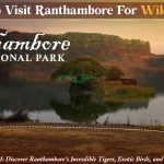 reasons to visit Ranthambore