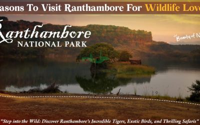 reasons to visit Ranthambore