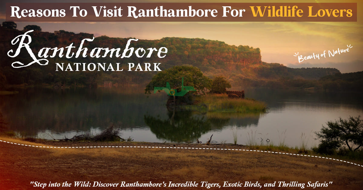 reasons to visit Ranthambore