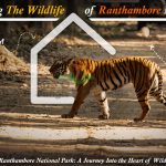 wildlife of Ranthambore