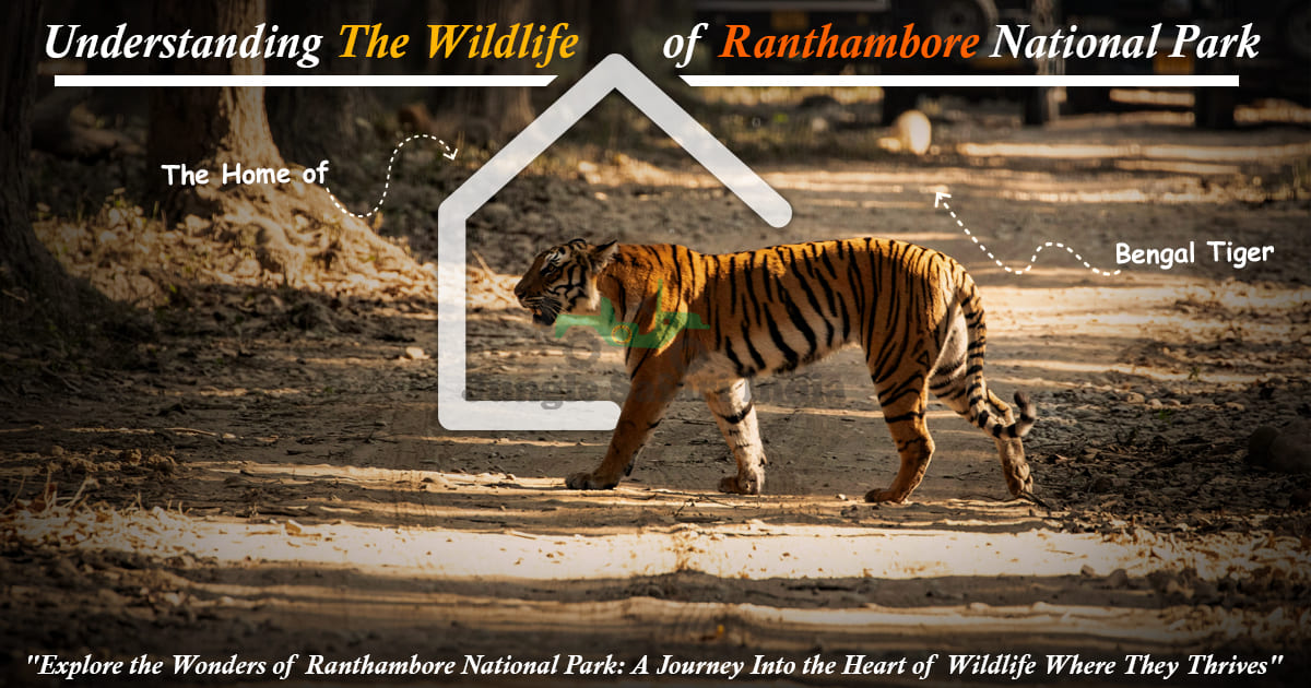 wildlife of Ranthambore