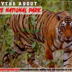 Common Myths About Ranthambore National Park