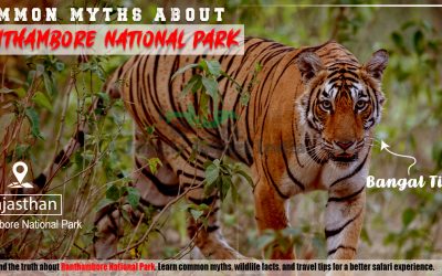 Common Myths About Ranthambore National Park Common Myths About Ranthambore National Park