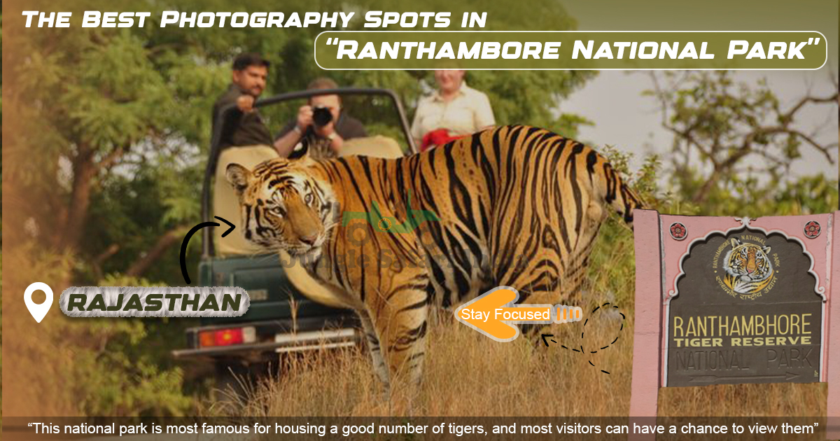 The Best Photography Spots In Ranthambore National Park