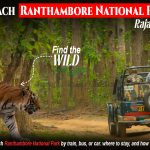How to Reach Ranthambore National Park Easily